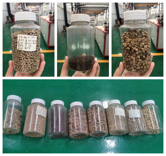 dry type Walleye extruded feed machine in the Philippines